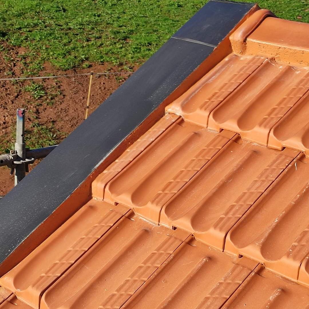 FB_IMG_1647503865794